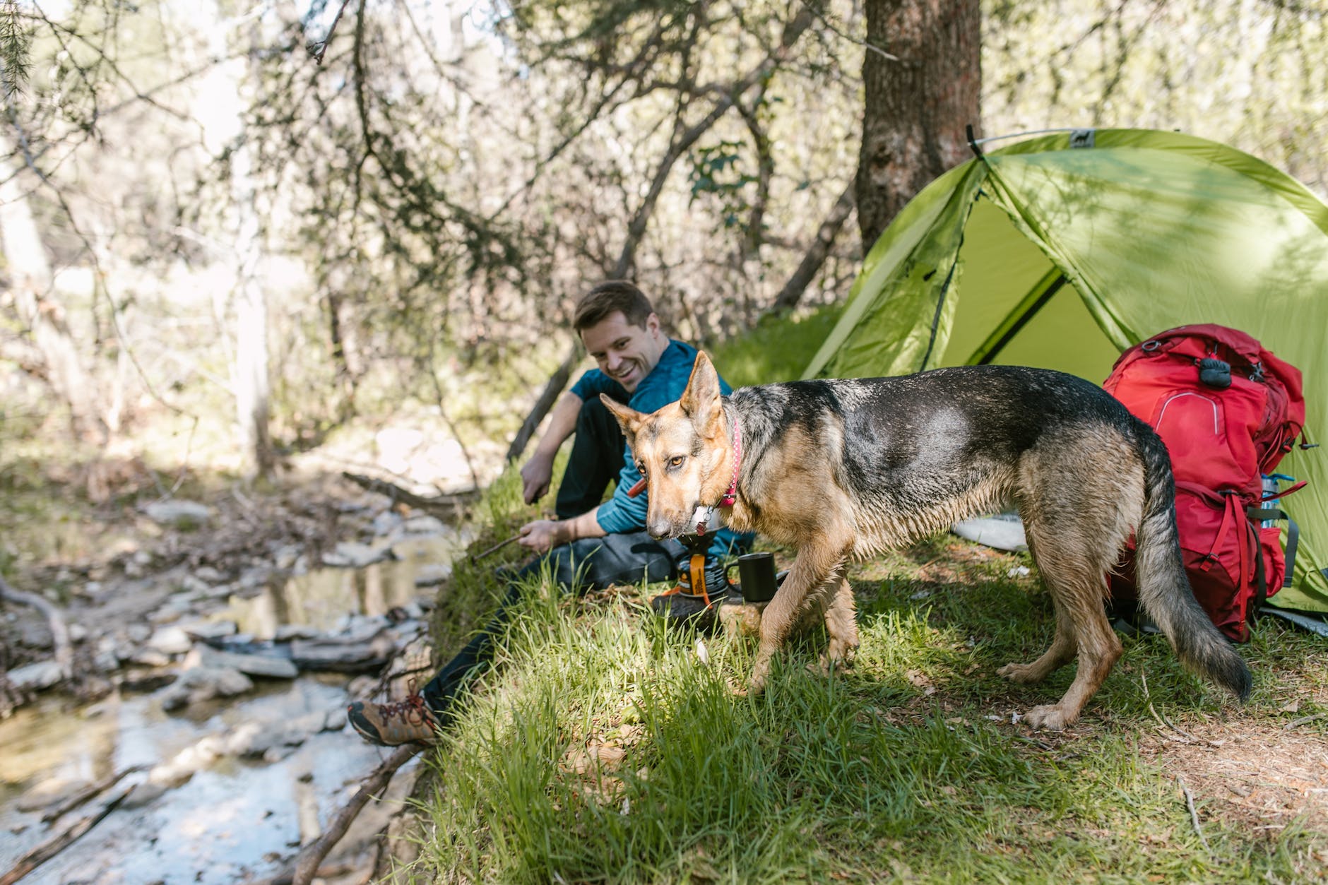 man in blue jacket sitting beside german shepherd near body of water