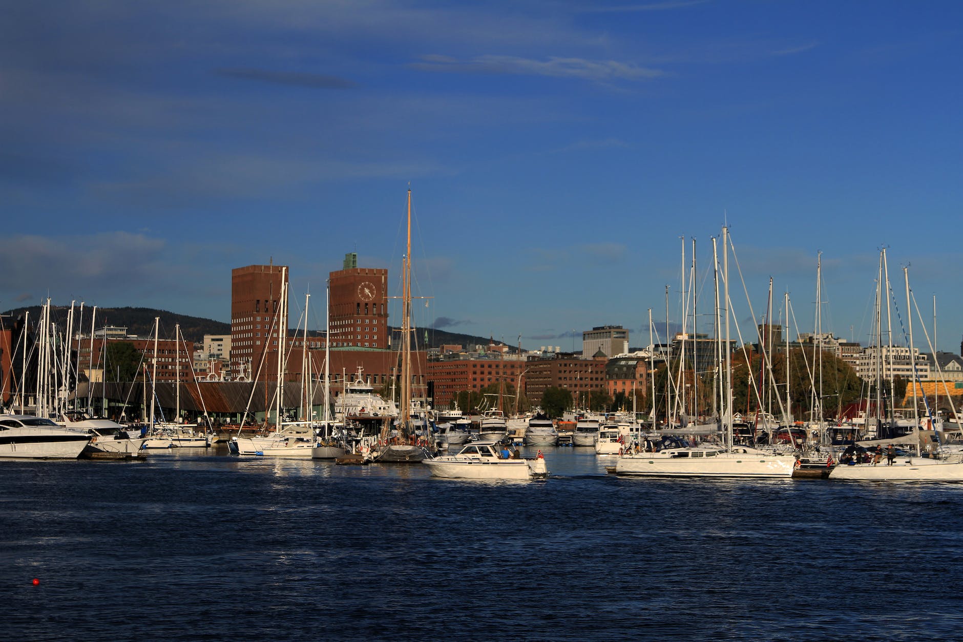 motorboats docked at the marina