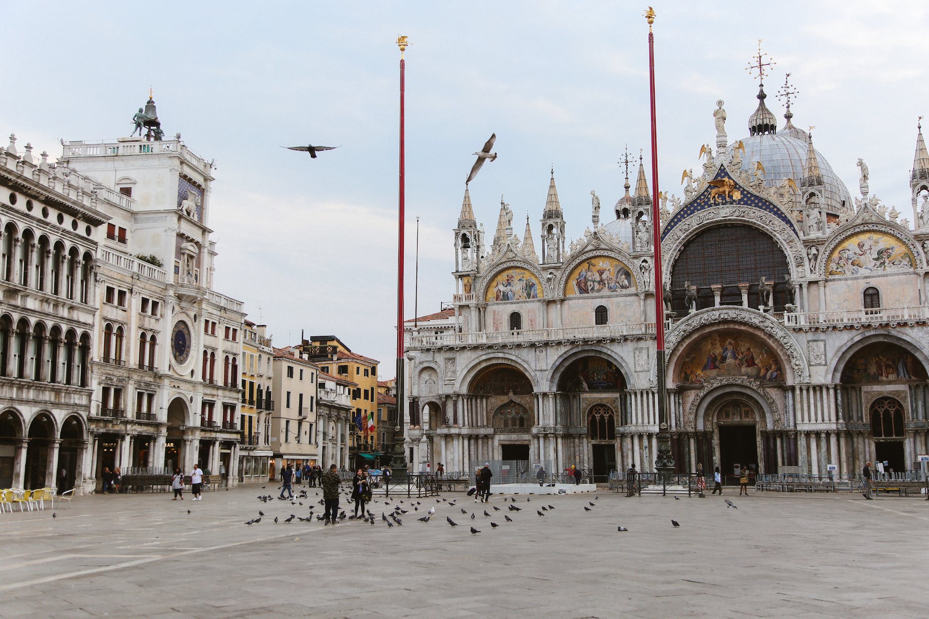 people and birds at the piazza san marco